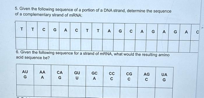Solved 1. If a strand of DNA has the sequence shown below | Chegg.com