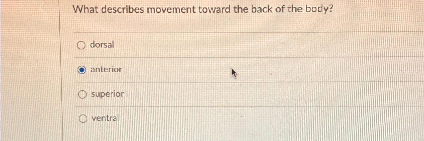 Solved What describes movement toward the back of the | Chegg.com