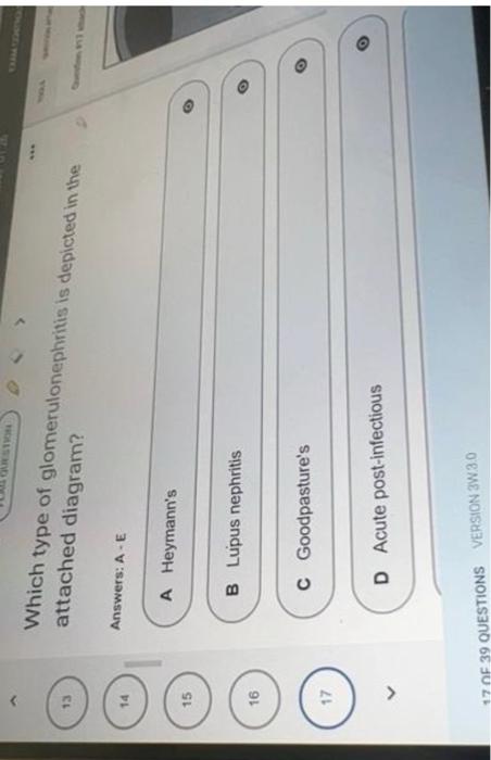 solved-list-4-nephrotoxic-medications-and-or-classes-of-chegg