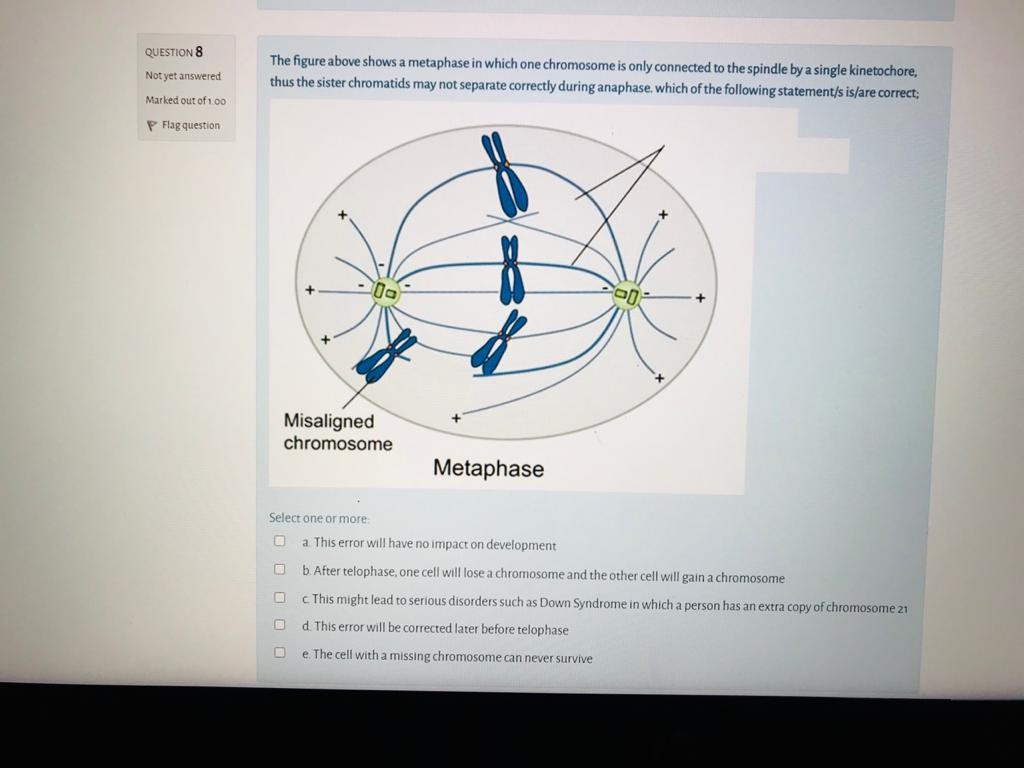 Solved QUESTION 8 Not yet answered The figure above shows a | Chegg.com