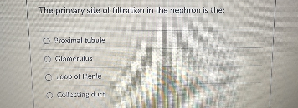 Solved The primary site of filtration in the nephron is | Chegg.com