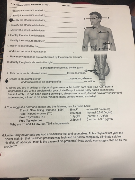 Solved lic GULING NUVIUW STEL Identify the structure labeled | Chegg.com