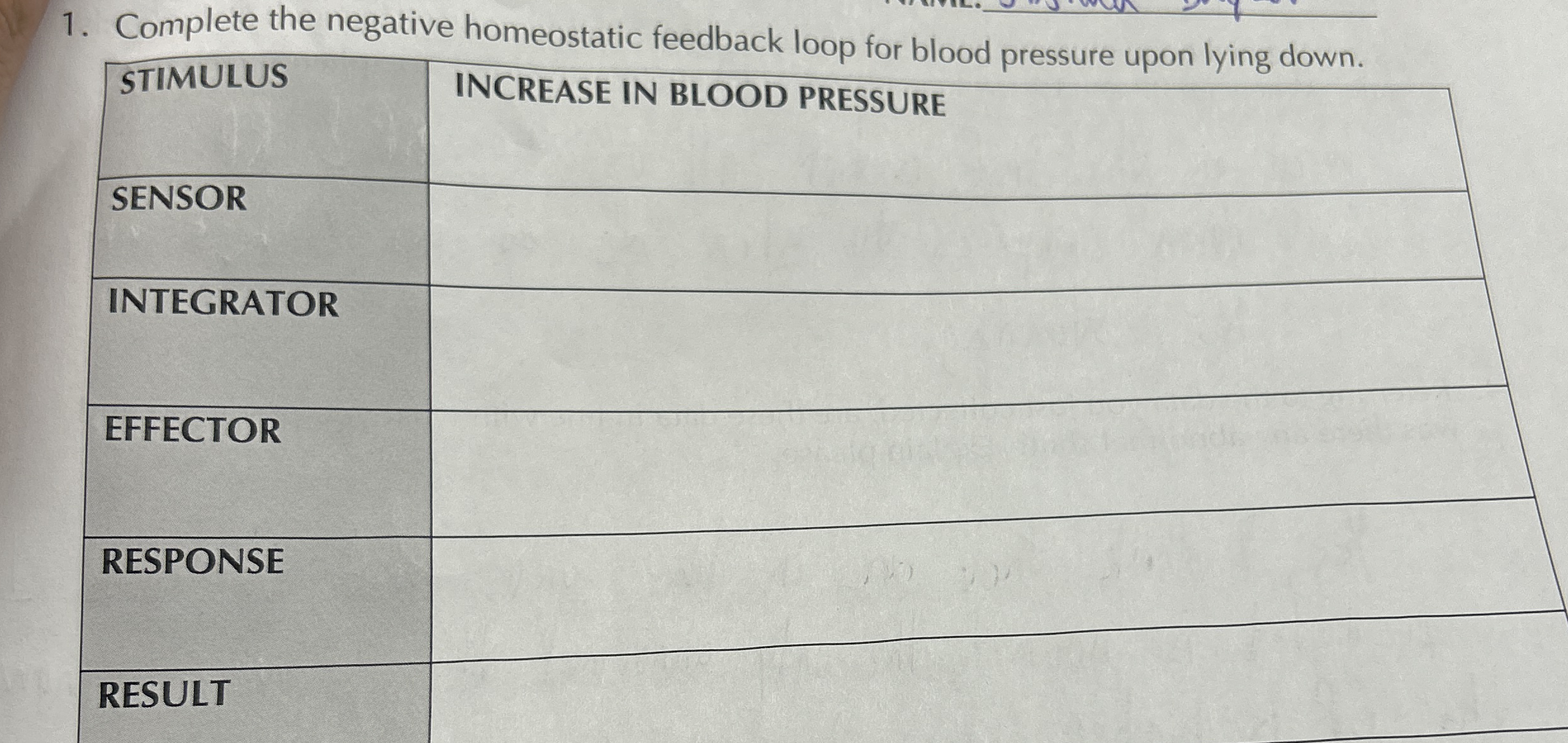 Complete the negative homeostatic feedback loop for