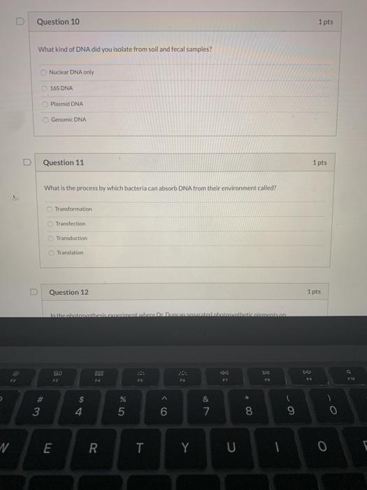 Solved Question 8 1 pts If a linear piece of DNA was treated | Chegg.com