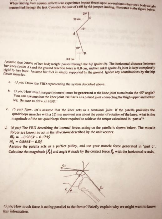 Solved When landing from a jump. athletes can experience | Chegg.com