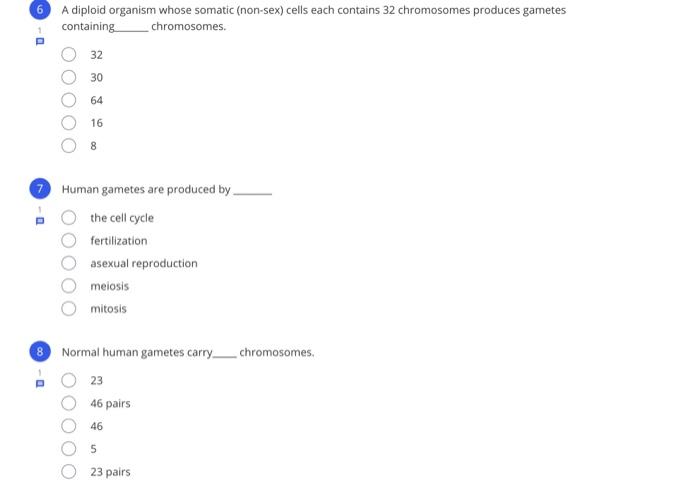 human gametes are produced by _____