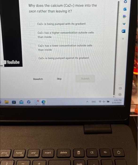 Solved Why does the calcium ( Ca2+) move into the axon