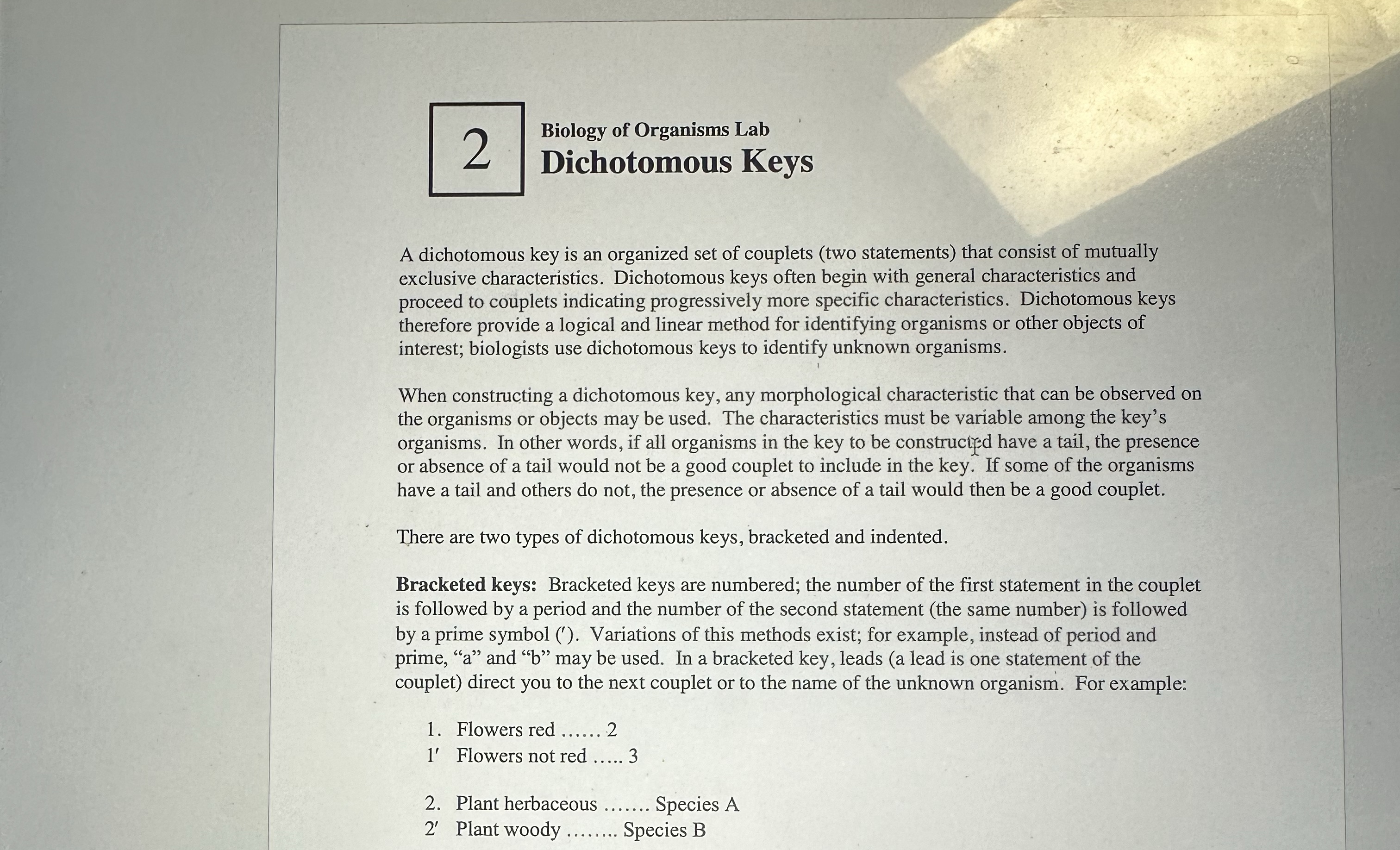 Solved A dichotomous key is an organized set of couplets | Chegg.com