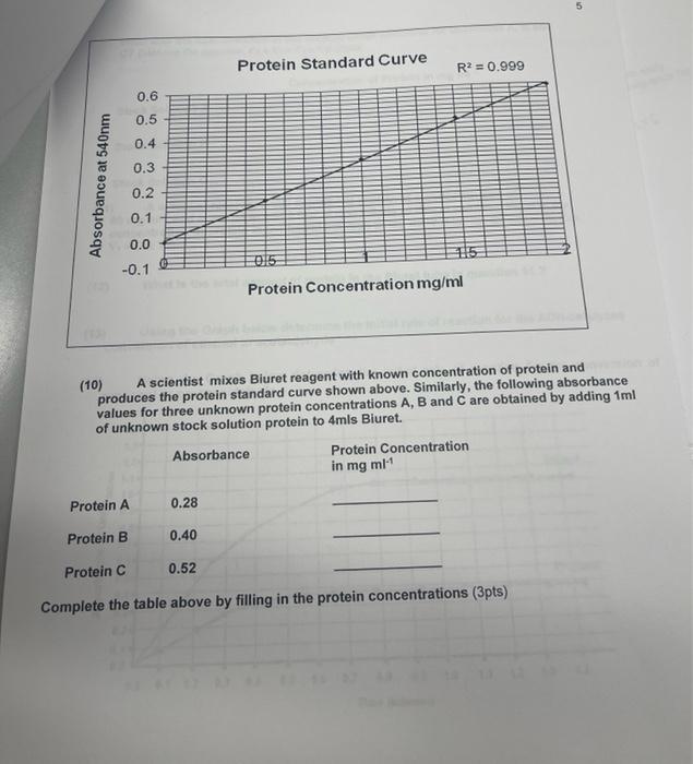 5 Protein Standard Curve R2 = 0.999 0.6 ܘ ܩ 0.5 0.4
