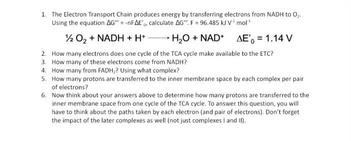 Solved 1. The Electron Transport Chain produces energy by | Chegg.com