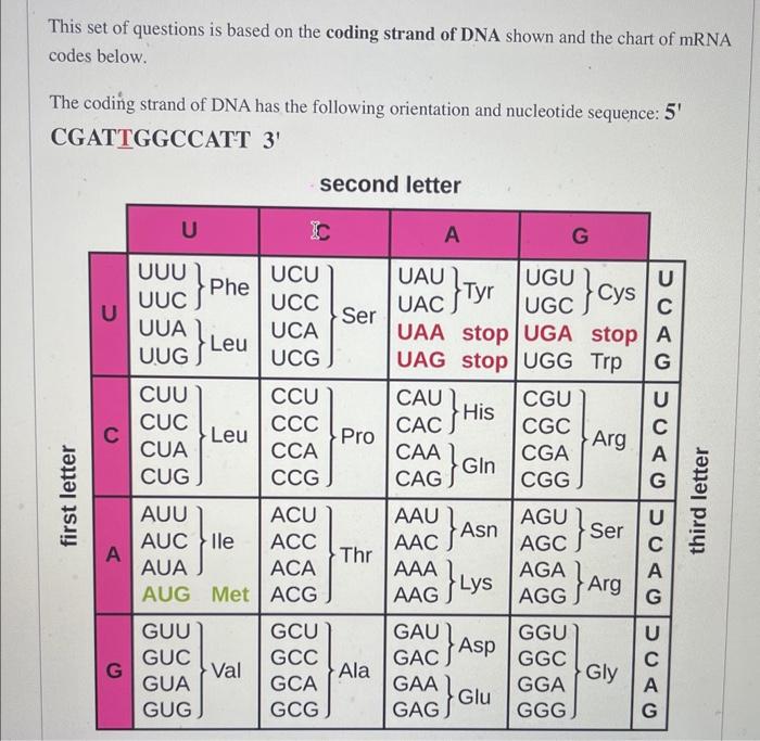 This set of questions is based on the coding strand of DNA shown and the chart of mRNA codes below.
The coding strand of DNA