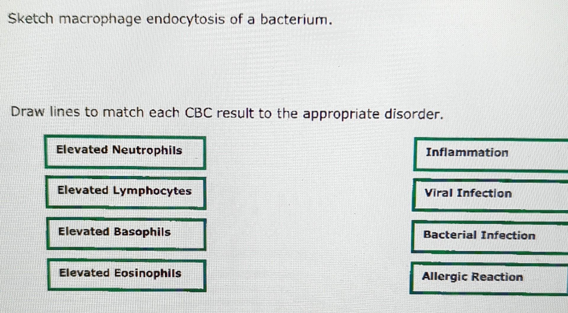 Solved \$ketch macrophage endocytosis of a bacterium. Draw | Chegg.com