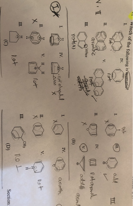 Solved Which Of The Following Is Somatie Iv Odd N Arom Chegg Com