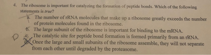 Solved Please Explain Why The Original Answer Was Wrong And 