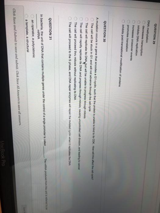 Solved Completion Status: QUESTION 21 Based on the gene and | Chegg.com