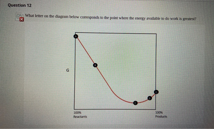 Solved Question 12 What letter on the diagram below | Chegg.com