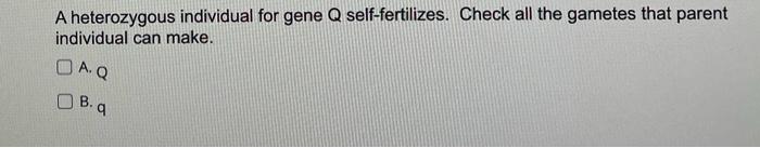 Solved A homozygous dominant parent 1 for gene G crosses | Chegg.com