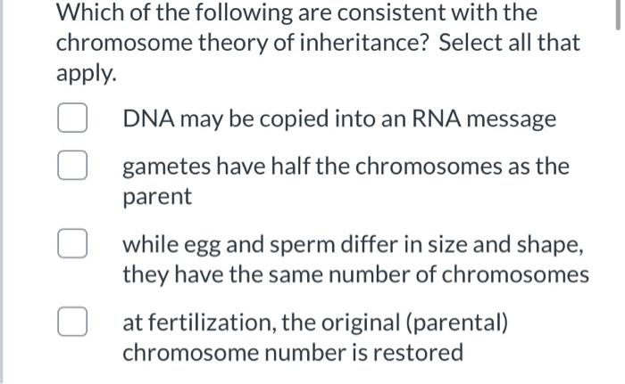 chromosome theory of inheritance