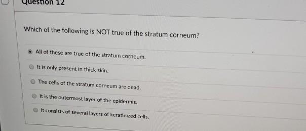 True stratum outlet