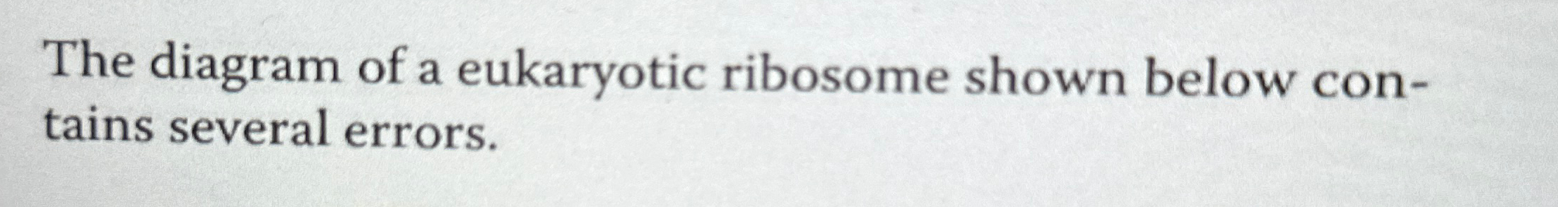 Solved The diagram of a eukaryotic ribosome shown below | Chegg.com