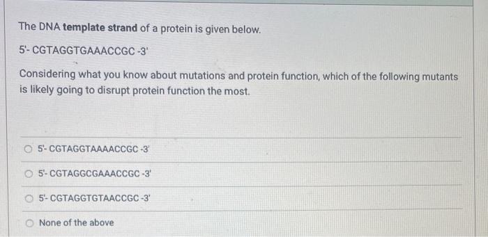 Solved The DNA template strand of a protein is given below. | Chegg.com