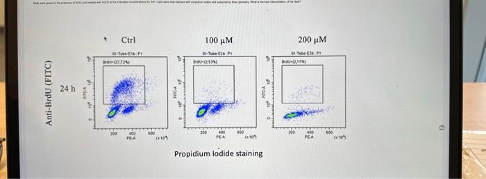 Propidium lodide staining | Chegg.com