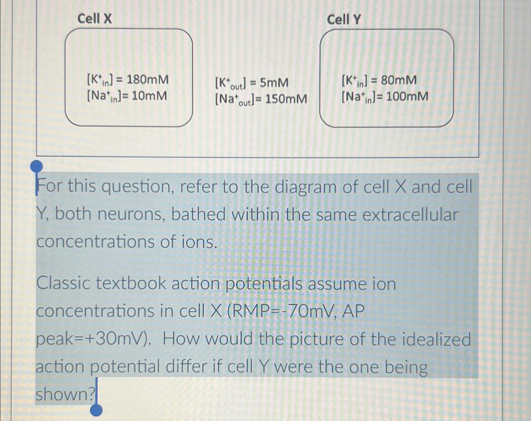 Solved Cell X[Kin +]=180mM[Nain+]=10mMCell | Chegg.com