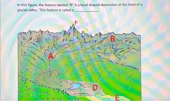 Solved In this figure, the feature labeled "B" is a bowl | Chegg.com