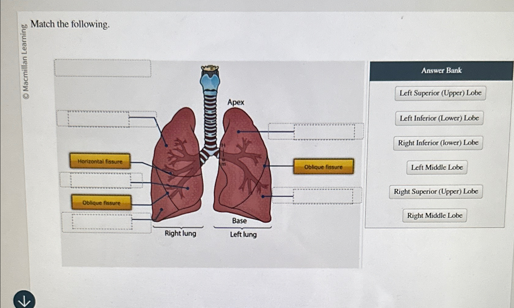 Solved of Match the following.Answer BankLeft Superior | Chegg.com