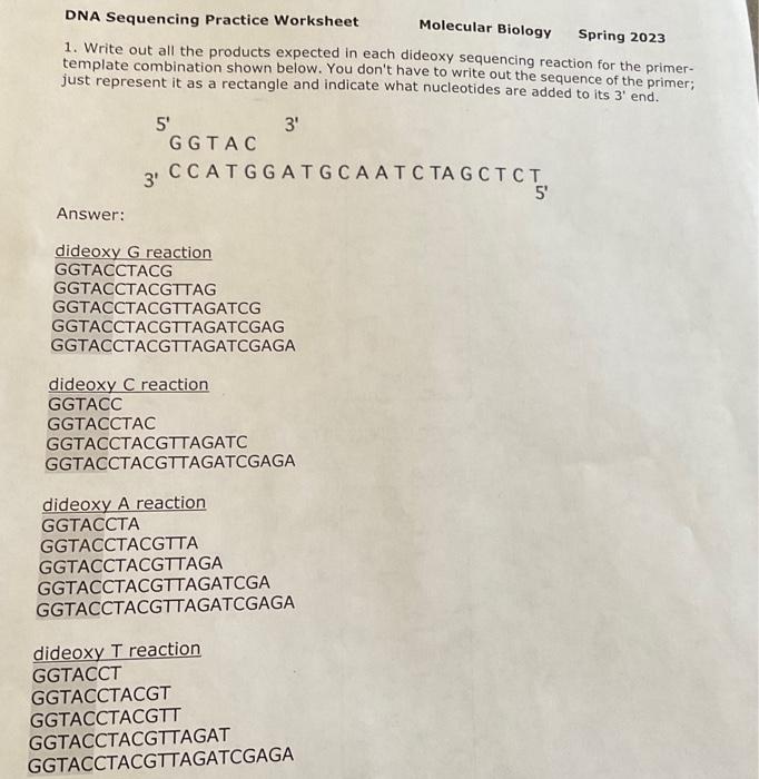 Solved DNA Sequencing Practice Worksheet Molecular Biology | Chegg.com
