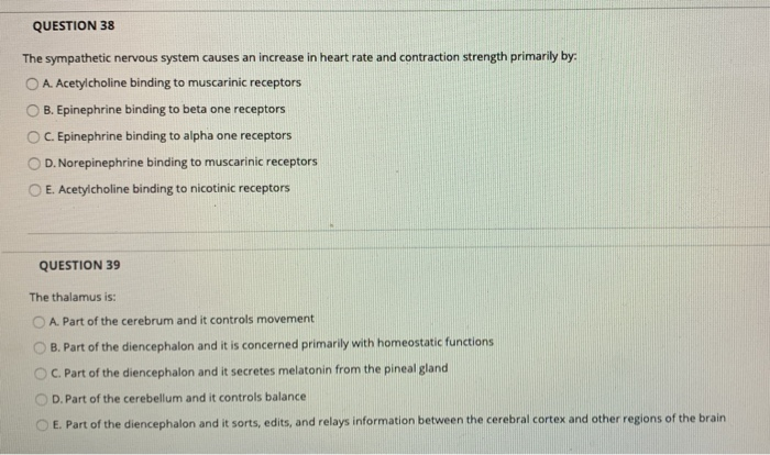 Solved QUESTION 38 The sympathetic nervous system causes an | Chegg.com
