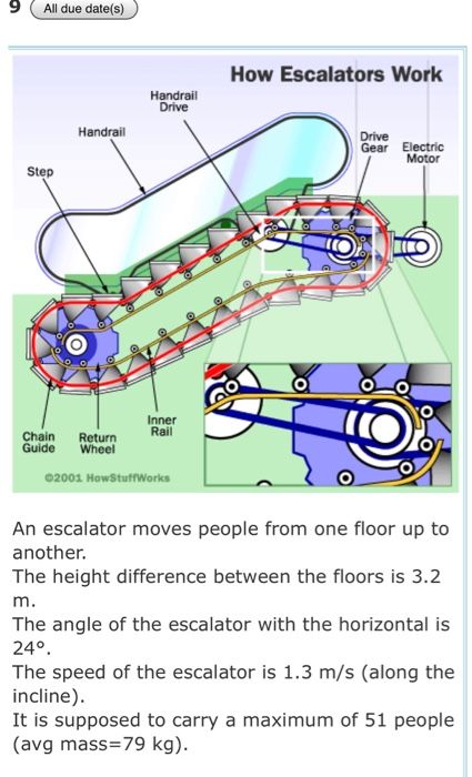 Stairs, Ladder, or Escalator? . . . . . #academiadeingles #english