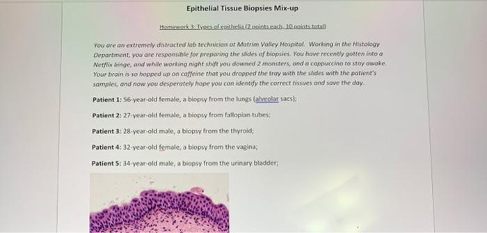 Solved Epithelial Tissue Biopsies Mix-up Homework 3 Ives | Chegg.com