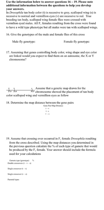 Solved Use the information below to answer questions 16-19. | Chegg.com
