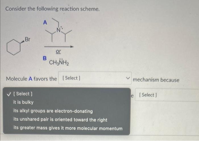 Solved Consider The Following Reaction Scheme. B CH3NH¨2 | Chegg.com