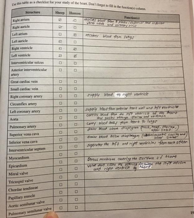 Solved Use this table as a checklist for your study of the | Chegg.com