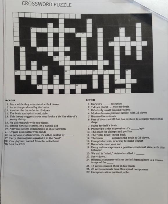 Solved CROSSWORD PUZZLE 盛 Across 1. For a while they 