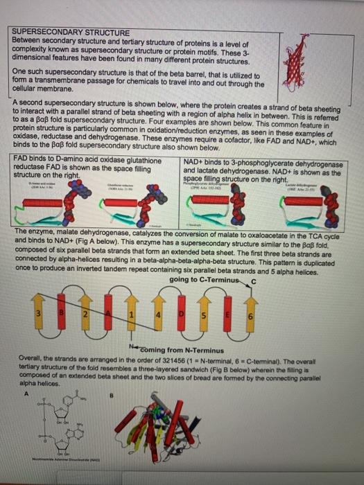 Super secondary deals structure of protein