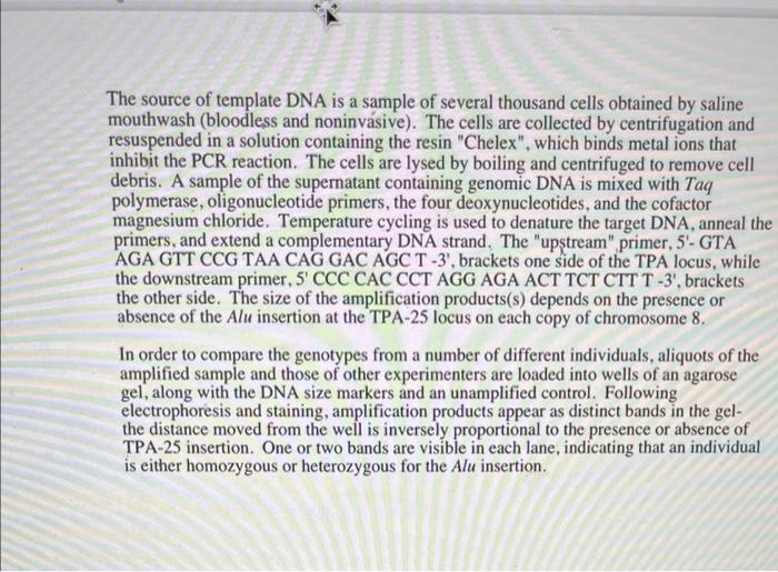 Solved Draw an agarose gel as though you had done the PCR | Chegg.com