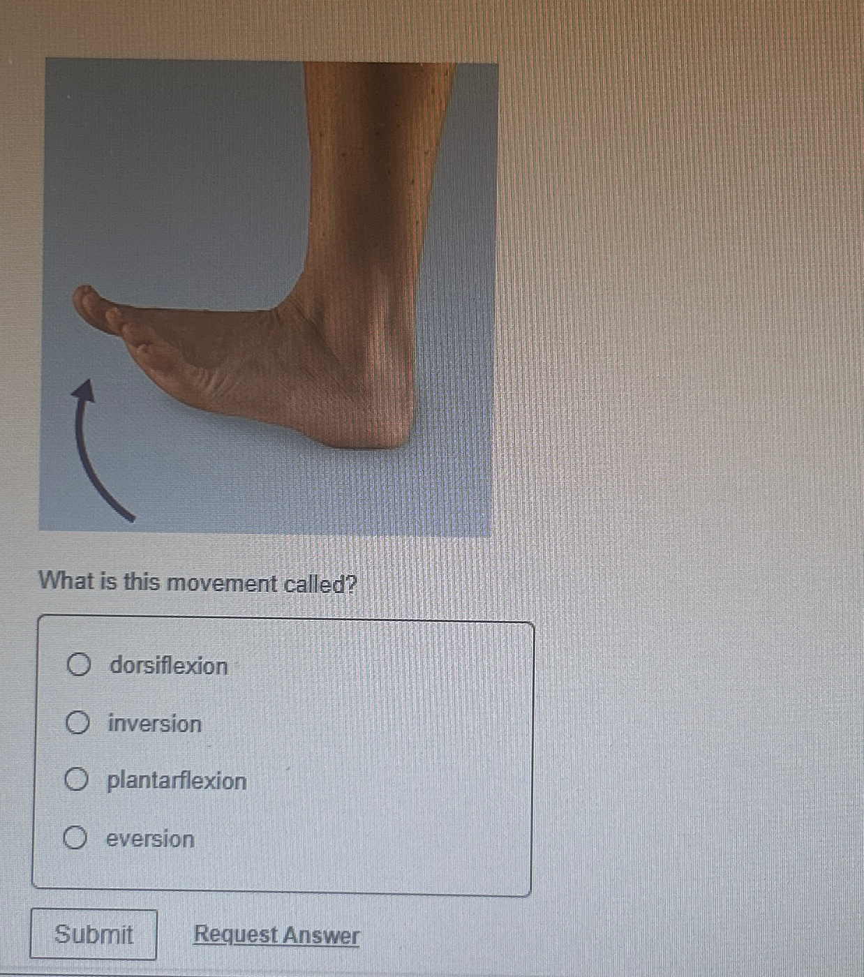 Special movements of the foot can be classified as dorsiflexion