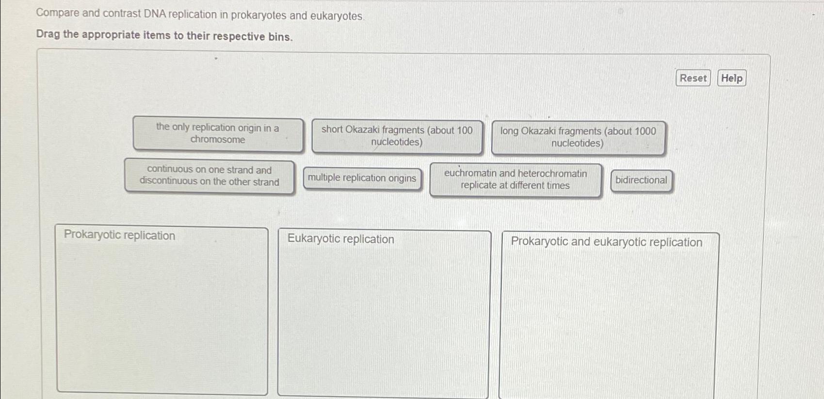 Solved Compare and contrast DNA replication in prokaryotes | Chegg.com