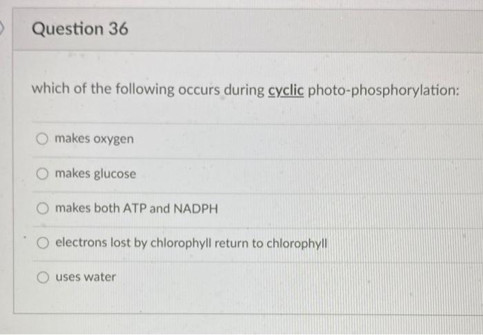 Solved Question 36 which of the following occurs during | Chegg.com