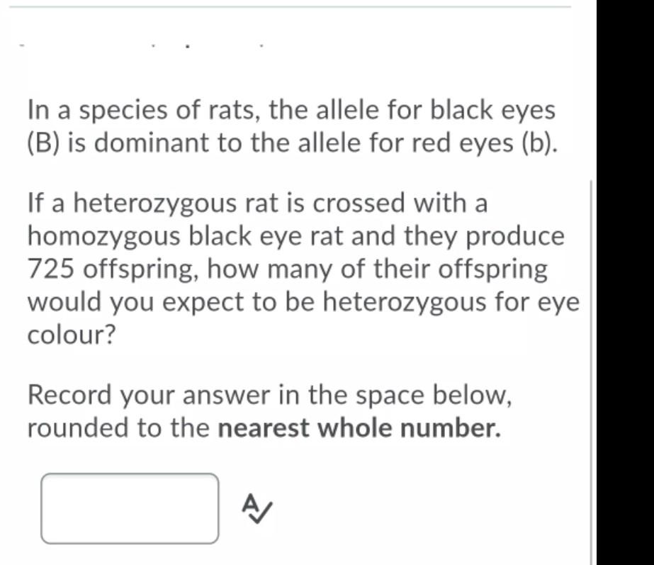 Solved In a species of rats, the allele for black eyes (B) | Chegg.com