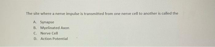 Solved The site where a nerve impulse is transmitted from | Chegg.com