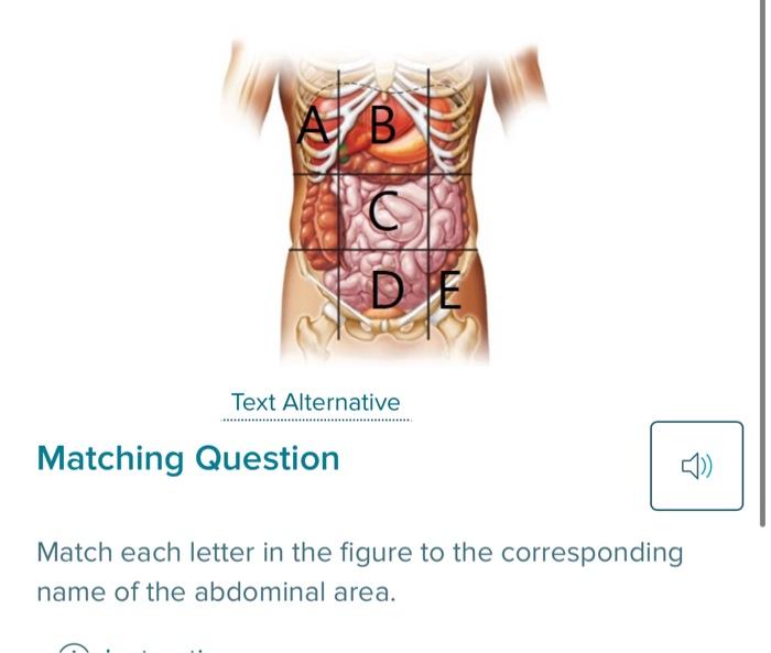 Solved Match each letter in the figure to the corresponding | Chegg.com