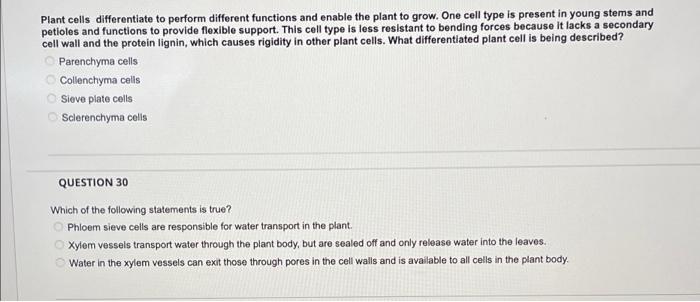 Solved Plant cells differentiate to perform different | Chegg.com