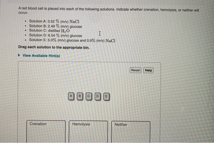 Solved A red blood cell is placed into each of the following | Chegg.com