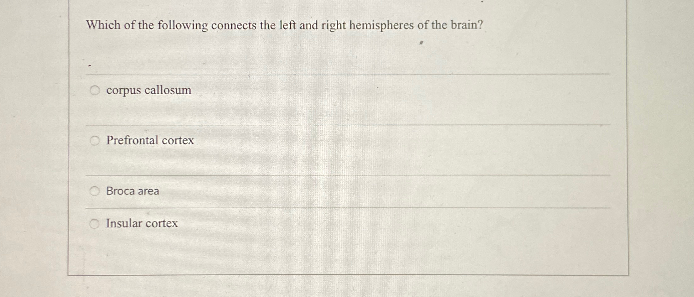 Solved Which of the following connects the left and right | Chegg.com