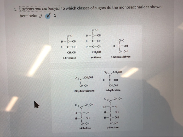 Solved 5. Carbons and carbonyls. To which classes of sugars