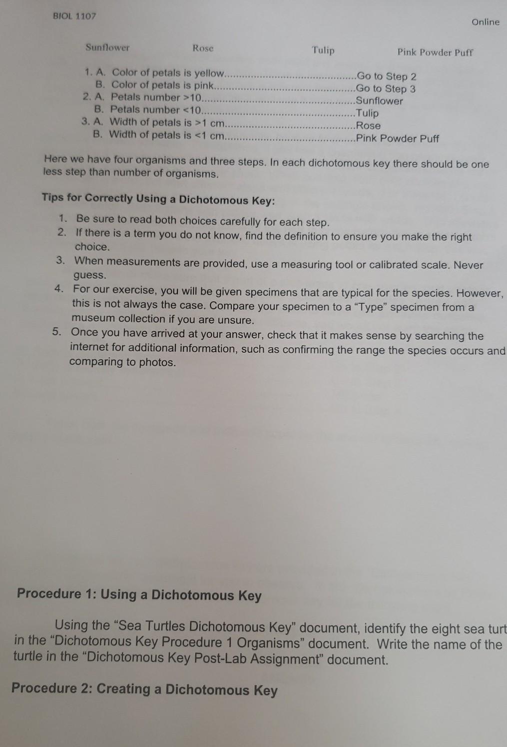 Solved Paragraph Styles The species for your dichotomous key | Chegg.com
